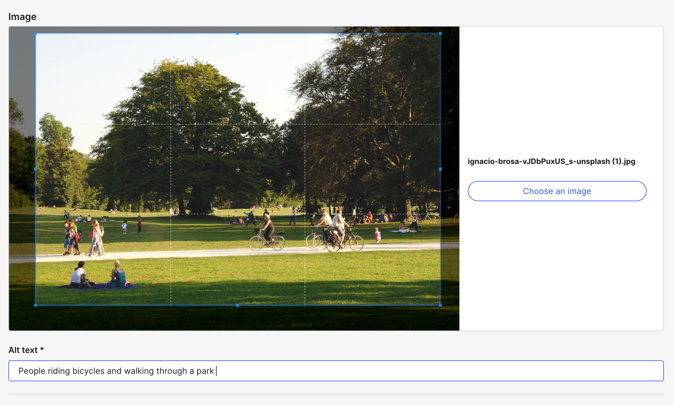 Screenshot 2024-04-30 at 1.55.33 PM.png